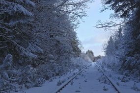 railroad in the snow among the trees