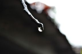 splendiferous water drop