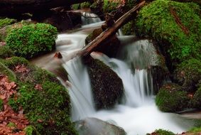 fantastic waterfall in a forest