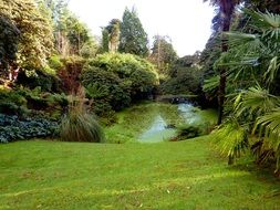 beautiful garden with pond, uk, england, cornwall