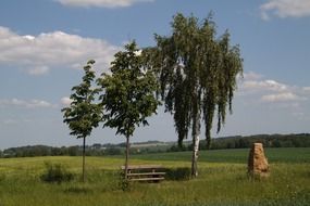 landscape in Germany