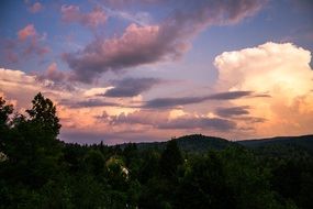 pink clouds over green forest