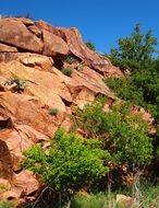 green trees and cacti on red rock, usa, oklahoma, quartz mountains