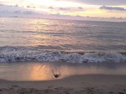 waves on the ocean in Brazil