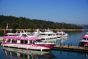 sunny sun moon lake landscape