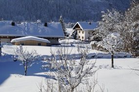 wintry landscape of a village