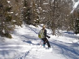 ski tours in the forests of Italy