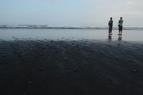 people are standing on the beach in the morning