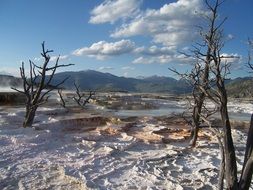 landscape of limestone terraces in the yellowstone national park