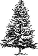 black and white drawing of a christmas tree in the snow