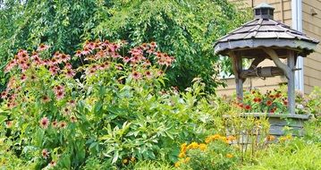 wooden well in a flowered garden