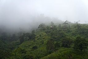 foggy mountains in el salvador