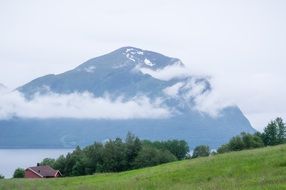 mountain in clouds green trees in front