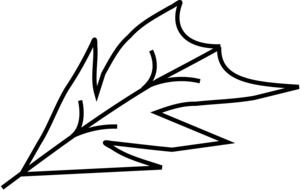 abstract leaf, black outline