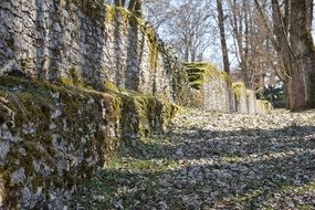 ruin stone wall autumnleaves view