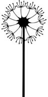 dandelion weed plant as a drawing