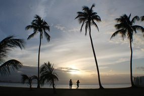 silhouettes of people under palm trees at sunset