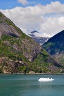irresistible alaska