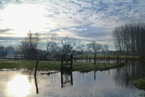 flooded frost winter