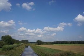 Beautiful landscape with yellow and green fields and trees under blue sky with white clouds