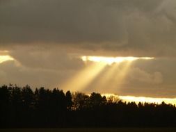 sunbeams through dark clouds on the forest