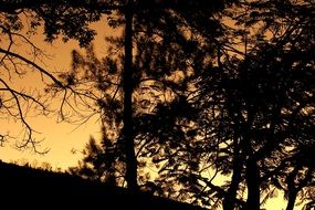 sunset landscape on a mountain in Brazil