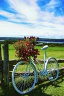 white bike with flowers near the fence