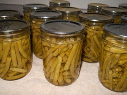 preserved beans