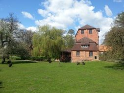 landscape of the mill on a meadow
