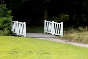 a bridge in the meadow