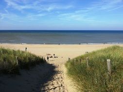 coast of the north sea in holland