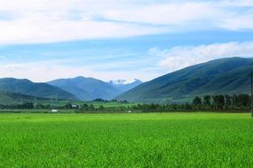 blue summer sky over alpine meadow
