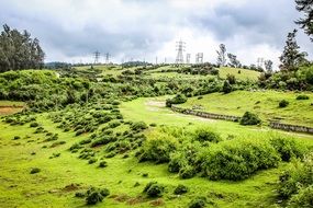 green grass in a picturesque landscape