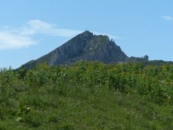 green mountain meadow in the Bavarian Alps