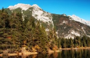 landscape of mountain forest lake in austria