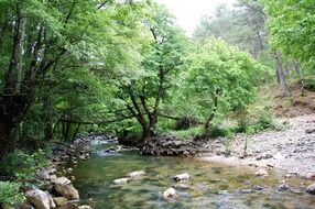 picturesque shores near the creek