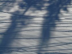 tracks in the snow in the shade