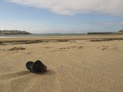 beautiful sandy beach with a huge shell