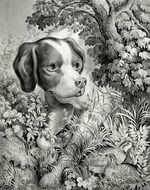 vintage drawing of a dog in the bush