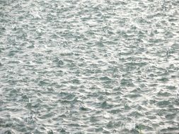 rain drip on lake tranquil scene