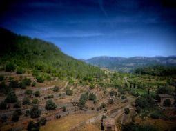 mallorca landscape
