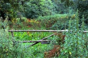 garden gate in the wild field