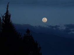 splendiferous moon