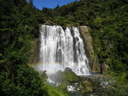 picturesque waterfall in New Zealand
