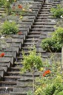 stairs waterfall with flowers scenery