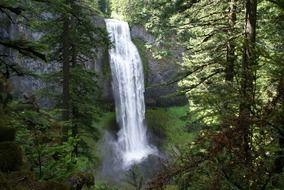 waterfall in oregon forest