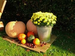 pumpkin next to a bucket of flowers