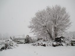 landscape of covered with village