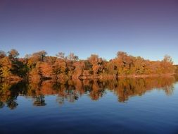 autumn trees are reflected in the old rhine