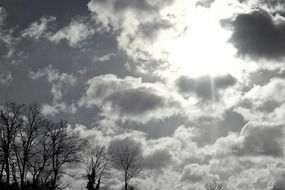 sun behind the clouds above the trees